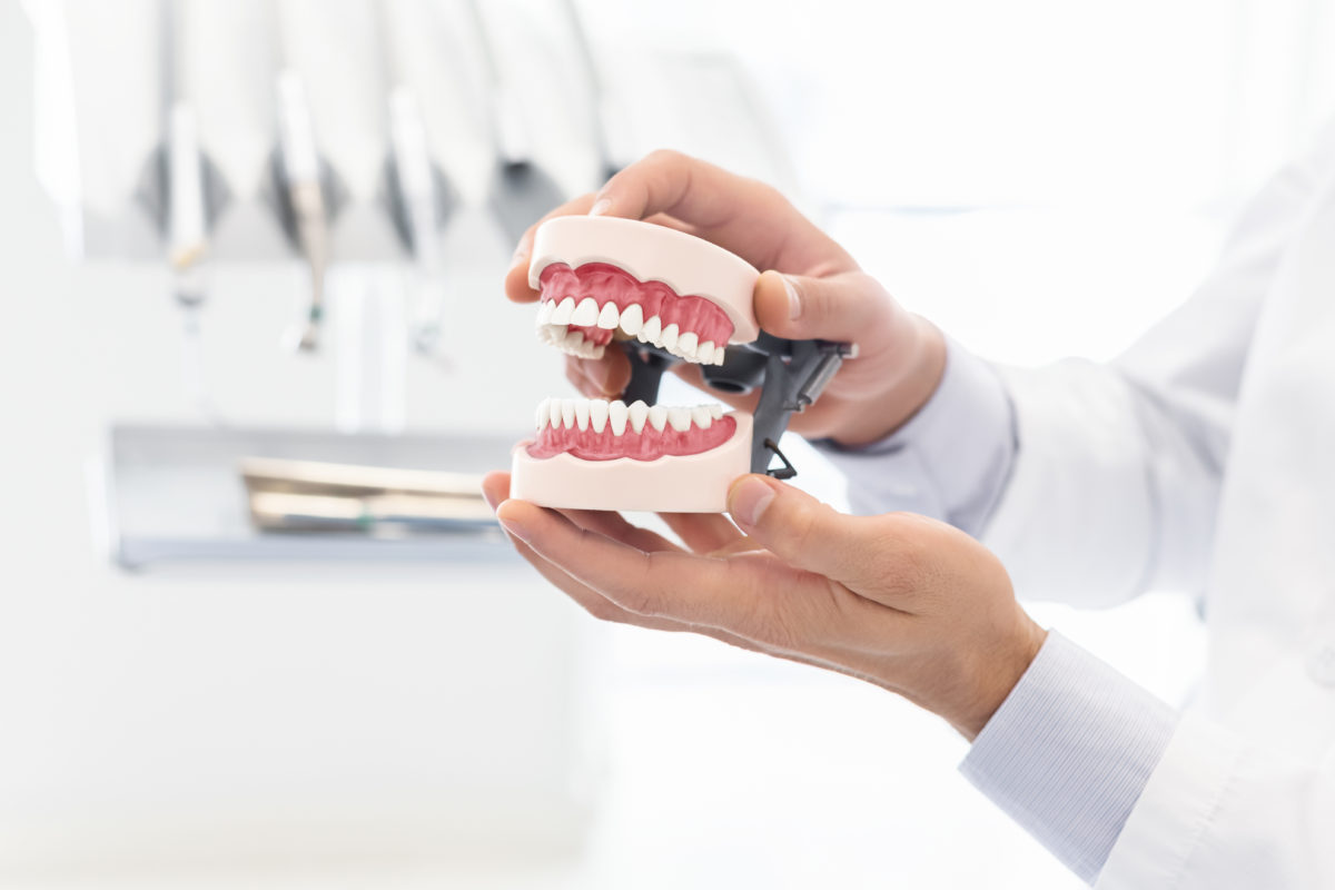 hands-of-dentist-showing-plastic-jaw-model-2021-04-02-20-24-07-utc-1200x800.jpg